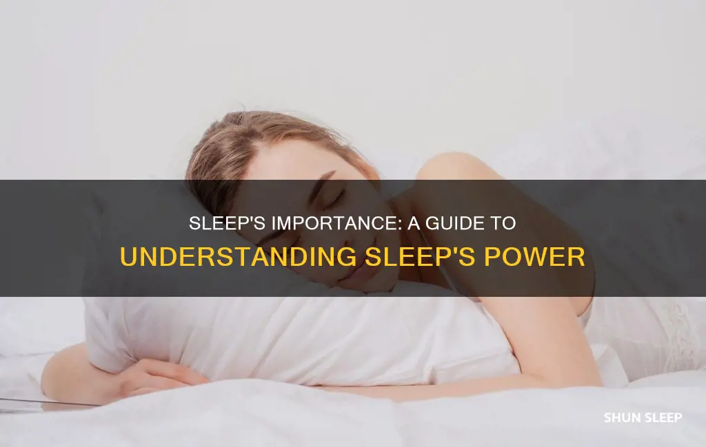 why do we need sleep essay