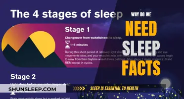 Sleep Facts: Understanding the Science of Sleep