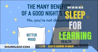 Sleep's Role in Learning: Enhancing Memory and Brain Function