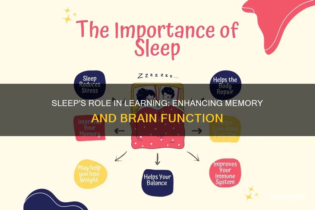 why do we need sleep for learning