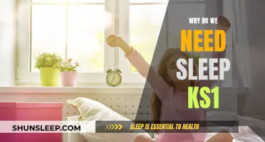 Sleep's Importance: KS1 Students Need Their Zzz's Too!