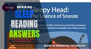 Sleep's Importance: Reading the Answers to Understand Sleep Better