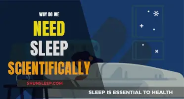 Sleep Science: Unlocking the Power of Sleep