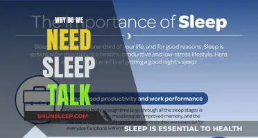 Sleep Talk: The Science of Slumber and its Benefits