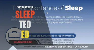 Sleep: The Ultimate Brain Recharge