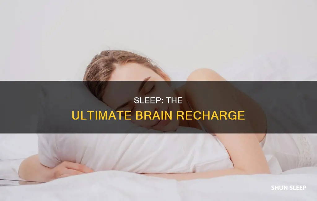 why do we need sleep ted ed