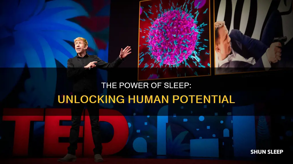 why do we need sleep ted talk