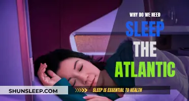 Sleep: The Atlantic's Secret to Health and Success