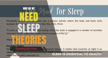 Sleep Theories: Understanding the Science of Sleep