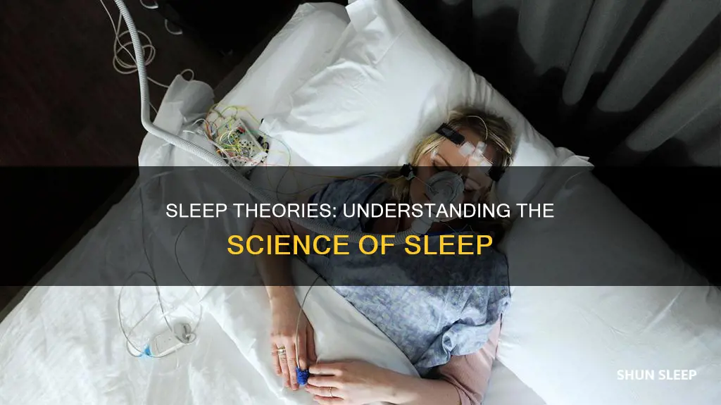 why do we need sleep theories