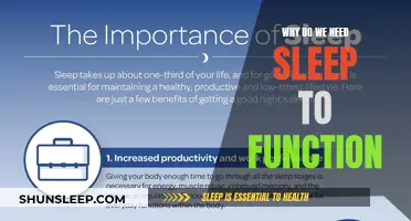 Sleep: The Ultimate Performance Enhancer for Your Brain