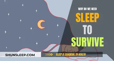 Sleep: A Vital Pillar for Human Survival and Well-being