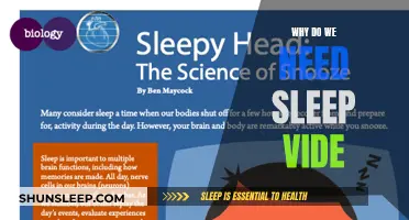 Sleep Video Insights: Understanding Sleep's Importance