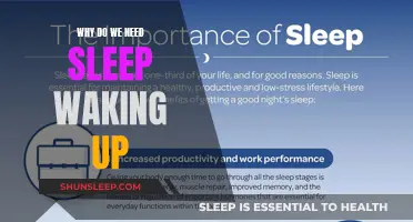 Sleep: The Ultimate Recharge for a Productive Wakeful Life
