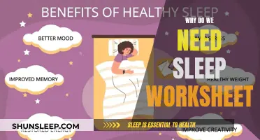 Understanding Sleep: Worksheet Explains Sleep's Importance