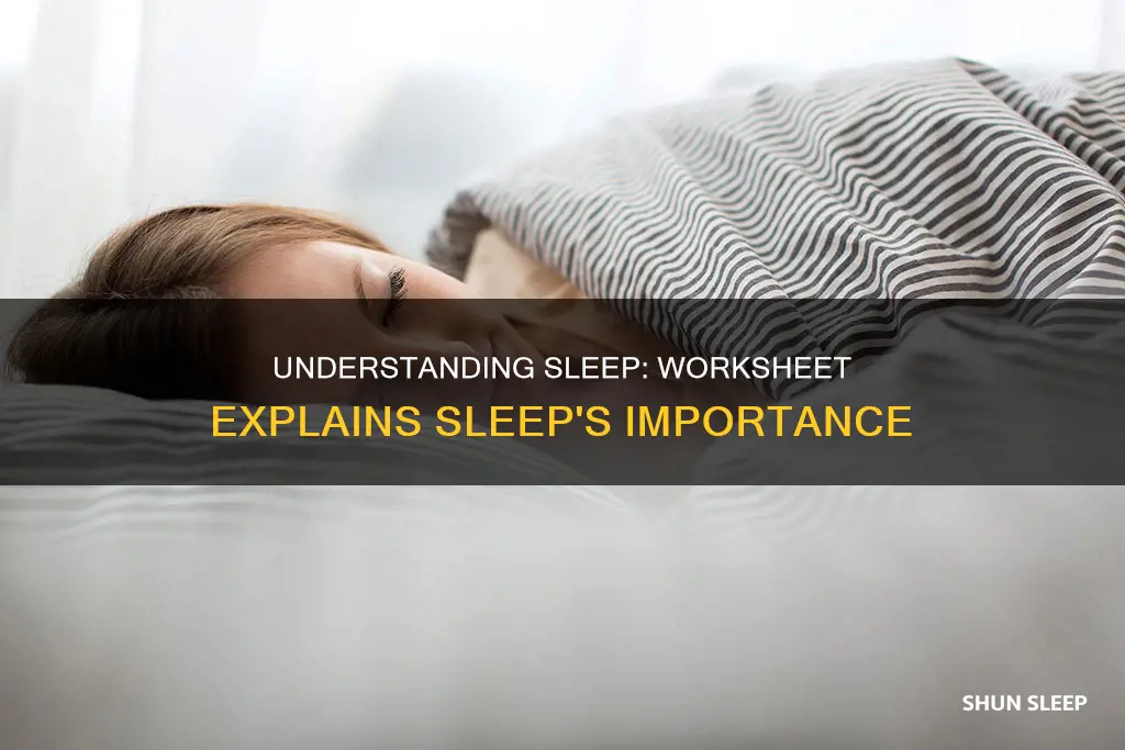 why do we need sleep worksheet