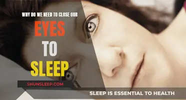 The Mystery Behind Sleep and Closed Eyes