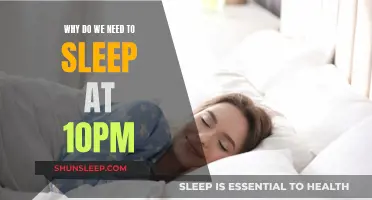Sleep at 10 pm: The Ultimate Health and Productivity Boost