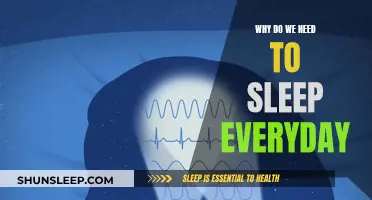 Sleep: Our Daily Essential for Optimal Health and Functioning