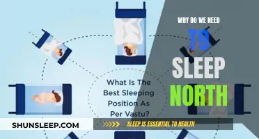 The Power of North-Facing Sleep: Unlocking Health Benefits