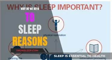Sleep: Essential for Body and Mind Functioning