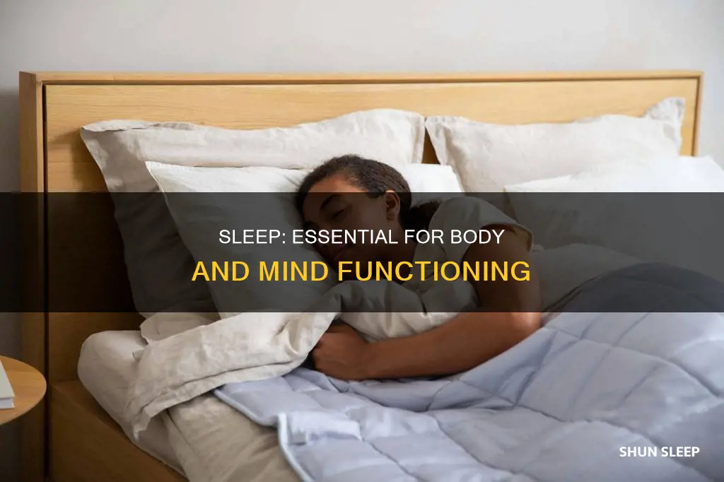 why do we need to sleep reasons