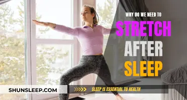 Stretching After Sleep: Unlocking Daily Energy and Body Flexibility