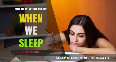 Why Sleep Suppresses Appetite: The Science Behind Overnight Hunger Absence