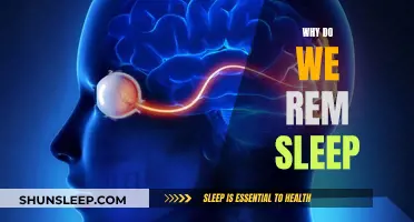 Understanding REM Sleep: Unlocking the Brain's Power Nap