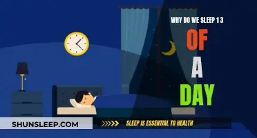 Exploring the Science Behind Sleep Duration