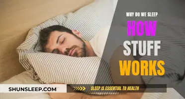 Sleep: Understanding the Science Behind Our Slumber