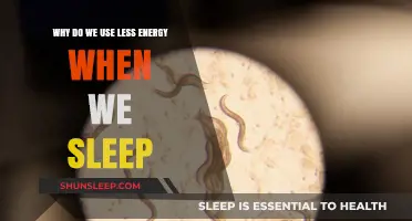 Energy Conservation: Sleep and its Benefits