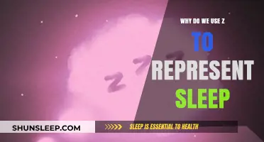 The Science Behind Z and Sleep