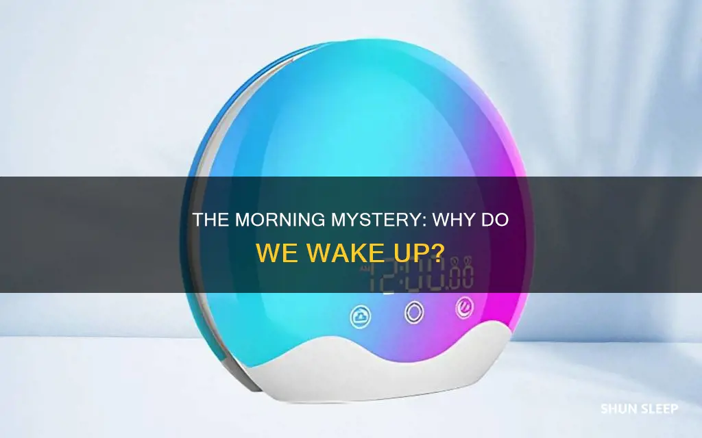 why do we wake up