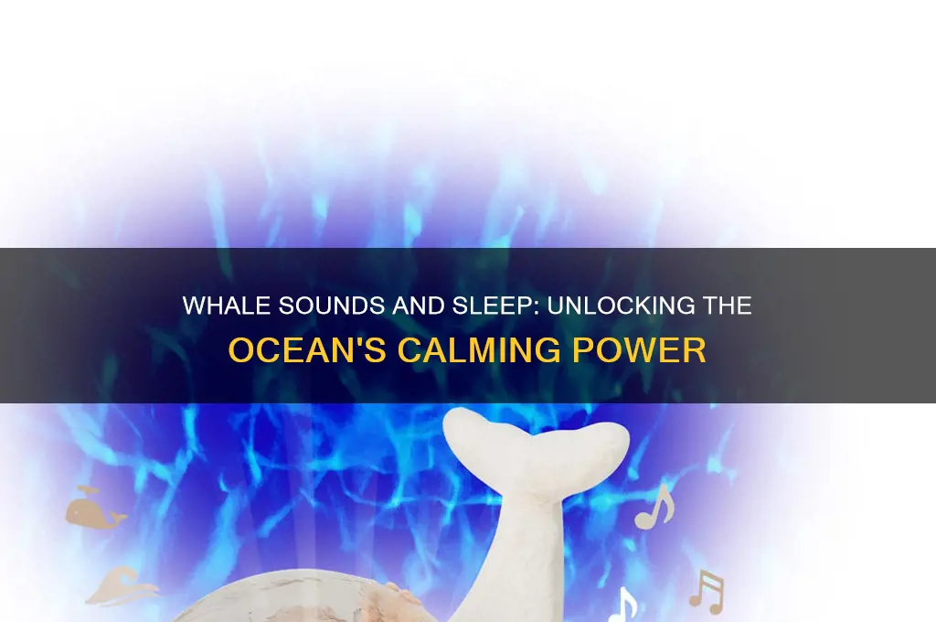 why do whale sounds help you sleep