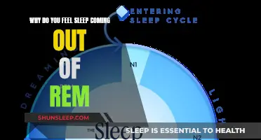 Sleep and REM: Why Do We Feel Sleepy?