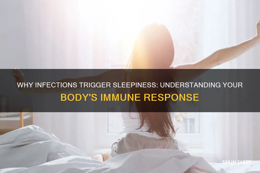 why do you get sleep while fighting a infection