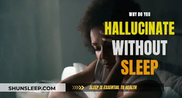 Sleep Deprivation: Hallucinations and the Mind's Eye