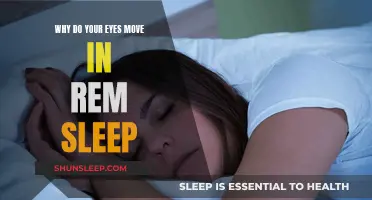 What Your Eyes Do During REM Sleep