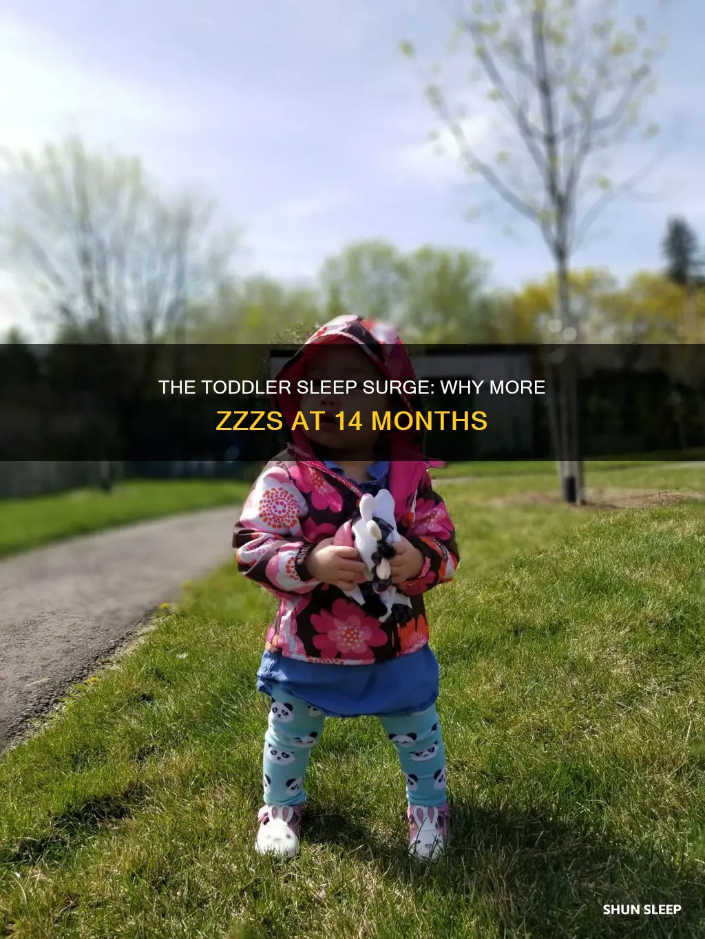 why does 14 month old sleep more