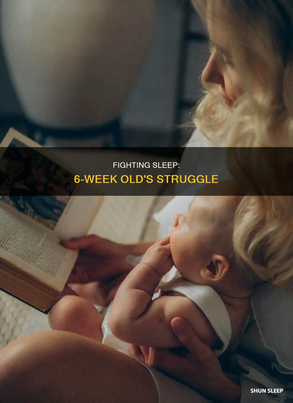 why does 6 week old fighting sleep
