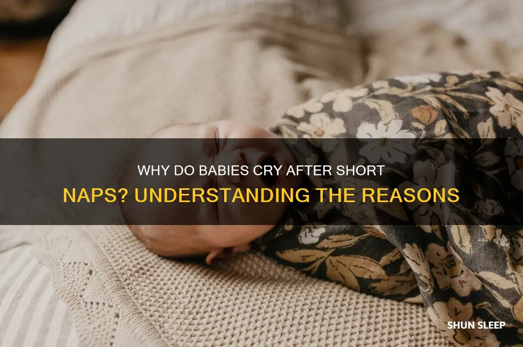 why does baby cry after sleeping for 30 minutes