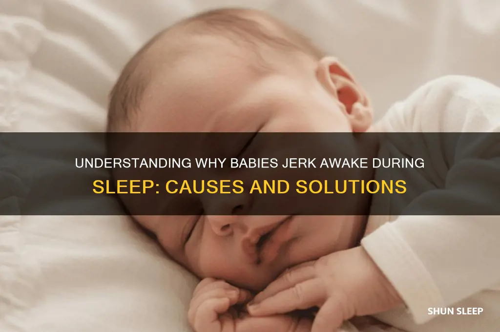 why does baby frequently jerk awake from his sleep