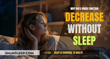 Brain Function Depends on Sleep: Understanding the Connection