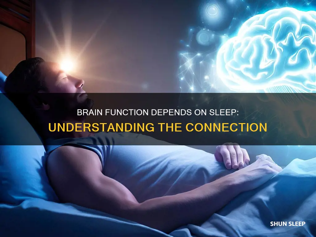 why does brain function decrease without sleep