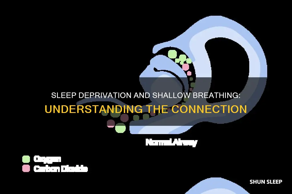 why does breathing get shallow with lack of sleep