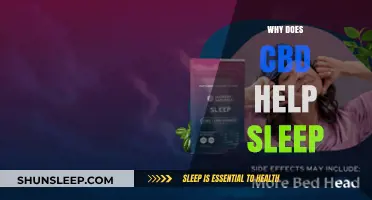 CBD and Sleep: Unlocking the Science Behind Restful Nights