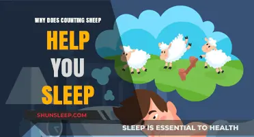 Counting Sheep: The Surprising Science Behind This Sleep-Inducing Trick