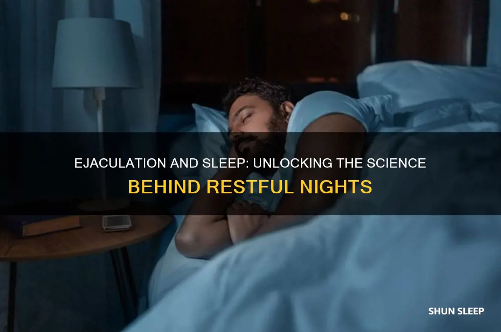 why does ejaculation help you sleep