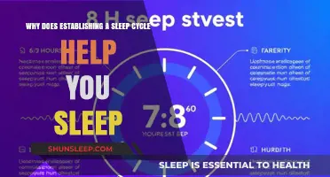 Mastering Your Sleep Cycle: The Key to Restful Nights and Energized Days